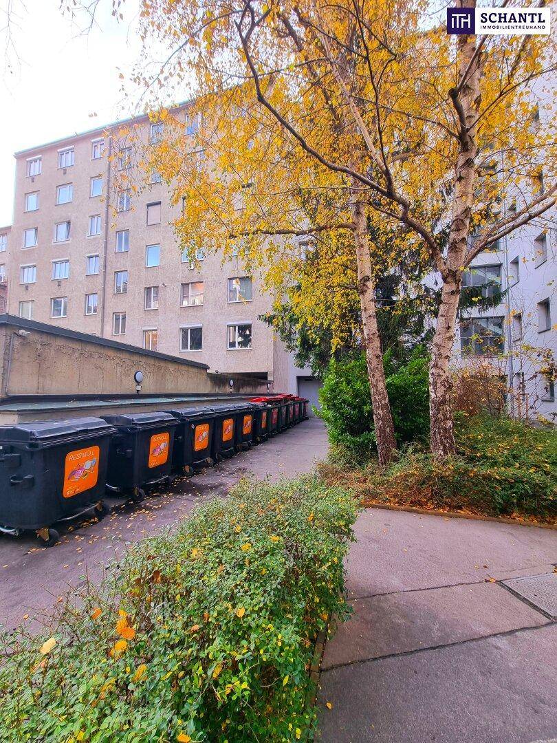 Herbstliche Bäume und Sträucher im Außenbereich eines Wohnkomplexes mit Müllcontainern.