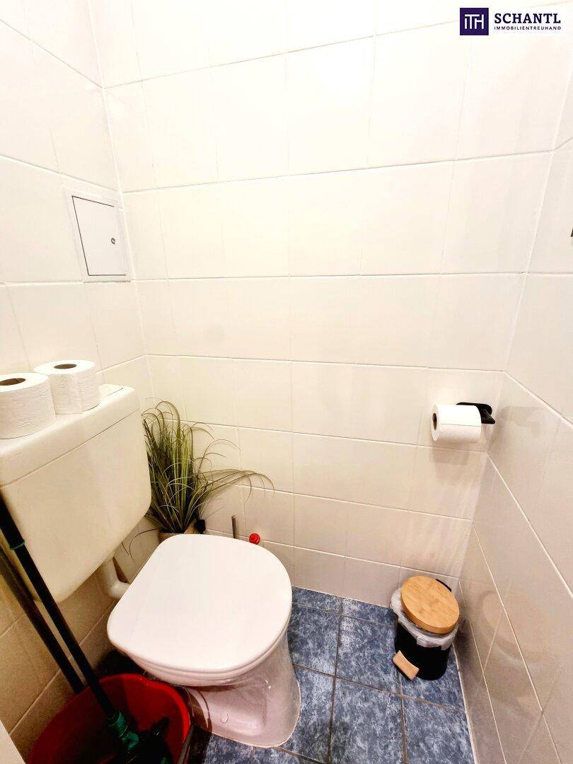 Kleines WC mit weiß gefliesten Wänden, blauen Bodenfliesen und Toilette.