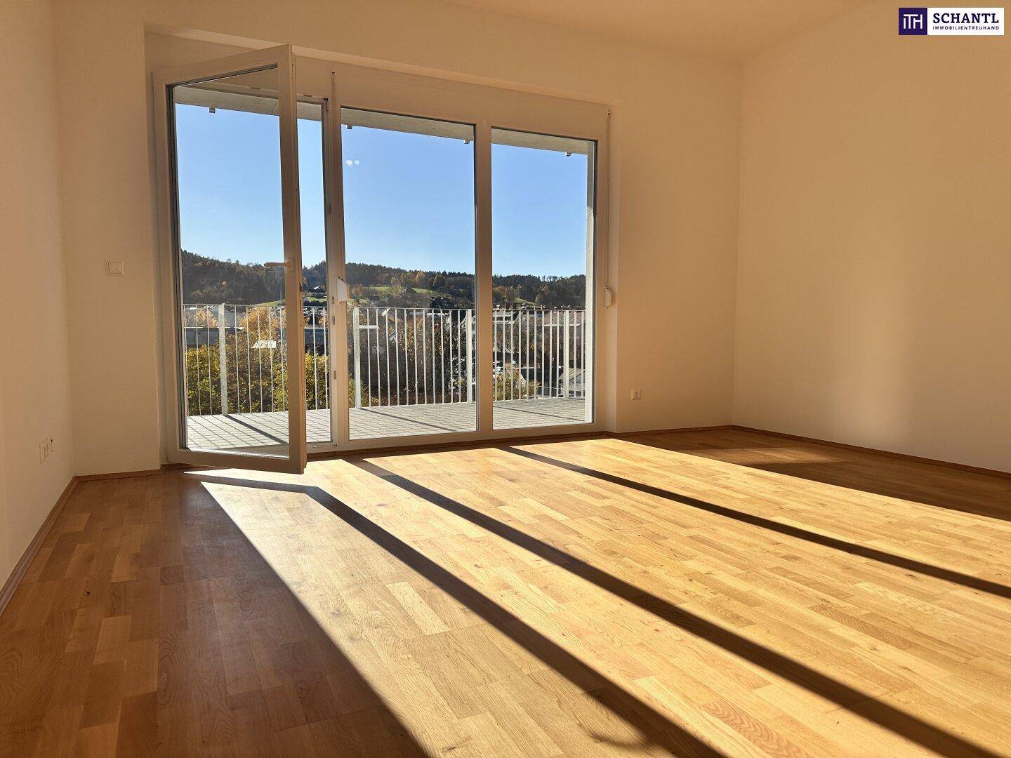 Heller, leerer Raum mit Parkettboden und großer Schiebetür, die auf einen sonnigen Balkon führt.