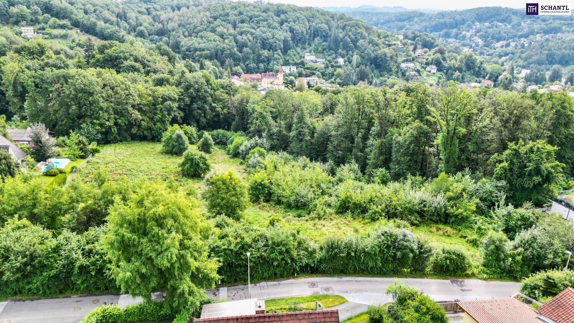 WEIL LAGE ALLES IST! Exklusive Baugrundstücke in begehrter Grazer Wohngegend – jetzt zugreifen! Nur noch 3 Bauparzellen verfügbar - inklusive fertiger Planung und bereits vorliegender Baubewilligung! - Vue 2