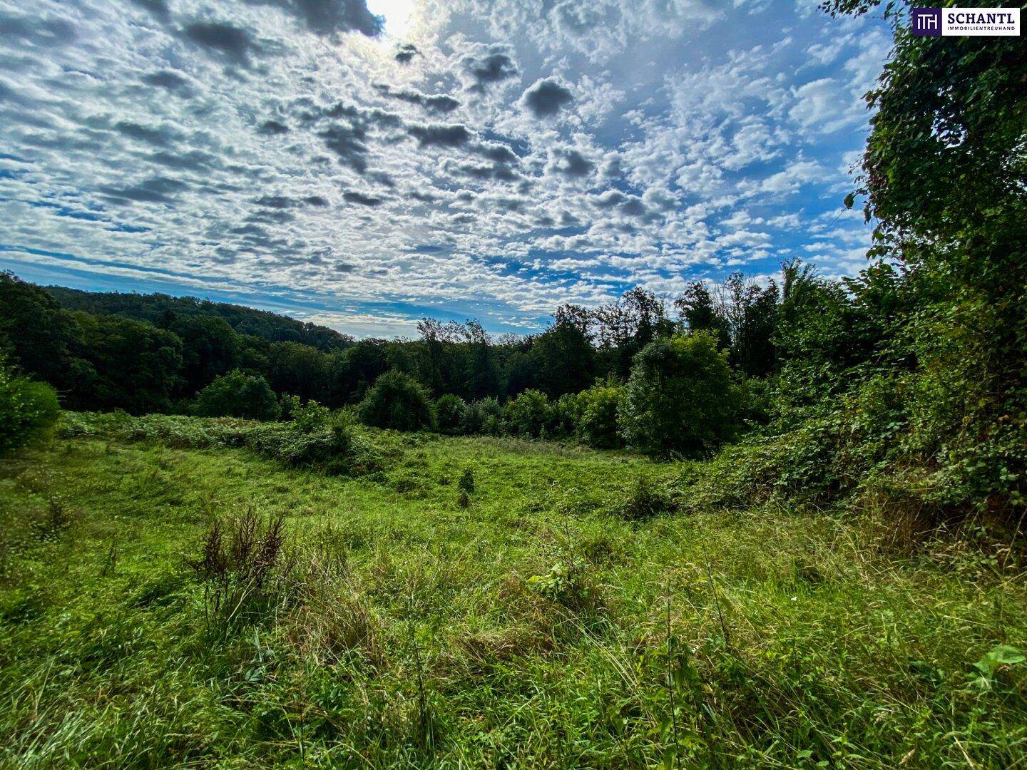 BAUGRUND TRIFFT AUF LEBENSQUALITÄT! Grundstücke in Bestlage mit genehmigter Luxusvilla! Ihre Chance auf ein Zuhause mit unverbaubarem Grünblick! Gleich anfragen und begeistern lassen! - Więcej
