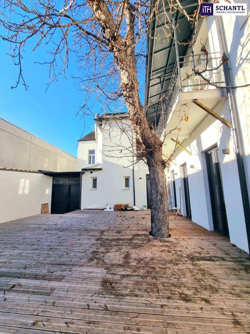 Sonniger Innenhof mit großer Holzterrasse und einem markanten Baum in der Mitte.