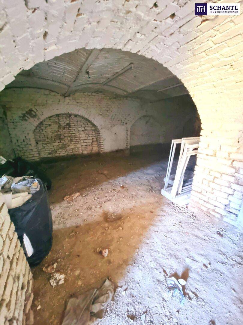 Historischer Kellerraum mit Ziegelgewölben und unfertigem Boden, ideal für Lagerung.