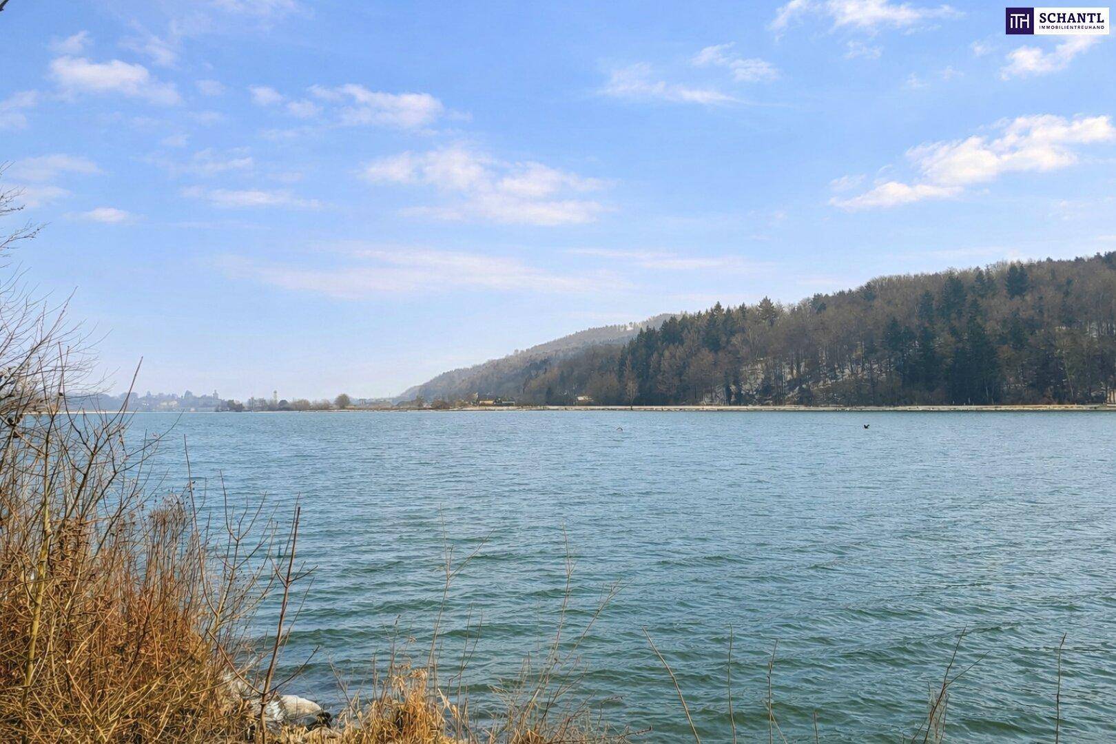 Katzensprung von Ybbs/D. – Mehr Grundstück für wenig Geld! Seltenes Baugrundstück mit genialem Donau-Blick in ruhiger Lage: 2.168 m² für großzügiges Eigenheim, Mehrgenerationenwohnen oder Wohnen &amp; Arbeiten auf einem Grundstück! - Ansicht 4