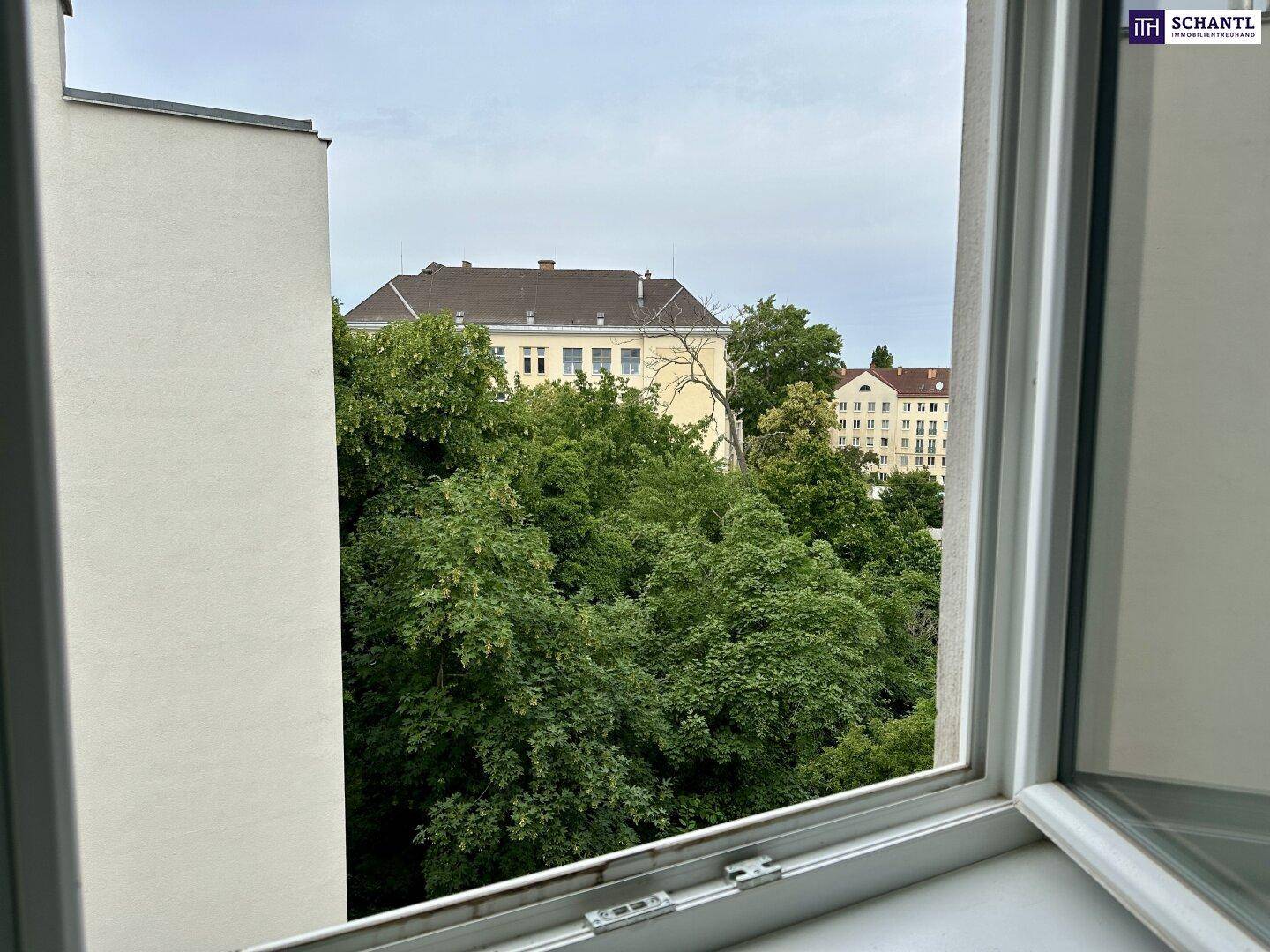 Blick aus dem Fenster auf grüne Bäume und umliegende Gebäude.