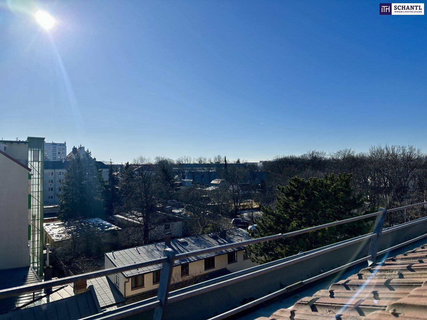 Sonniger Ausblick über Dächer und Bäume der Stadt an einem hellen Wintertag.