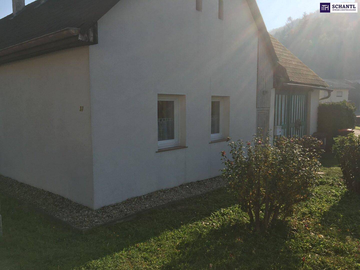 Seitenansicht des Hauses mit weißer Fassade, kleinen Fenstern und sonniger Ausrichtung im Grünen.
