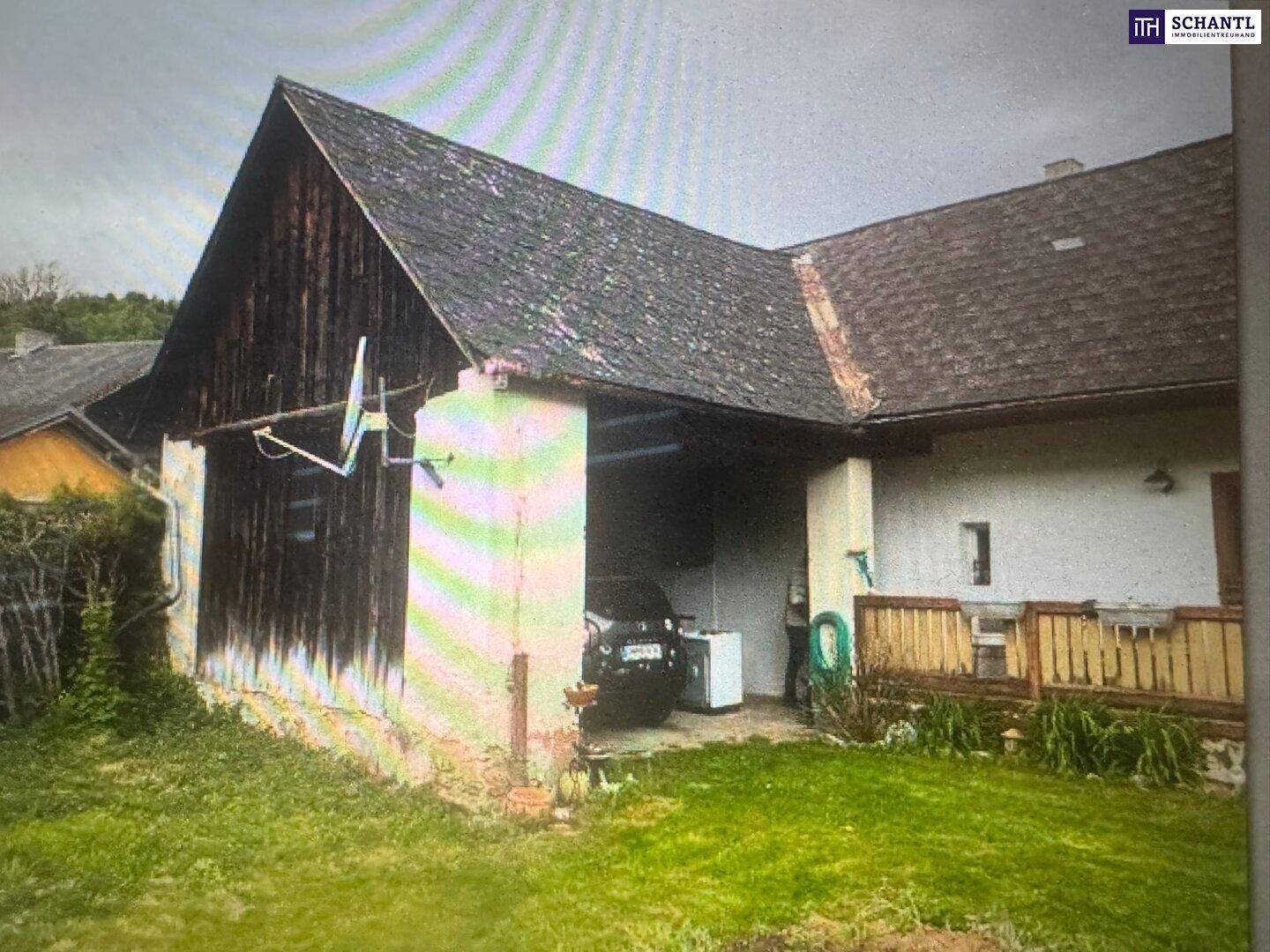 Seitenansicht des Hauses mit überdachtem Bereich, Holzwänden und direktem Zugang zum Garten.