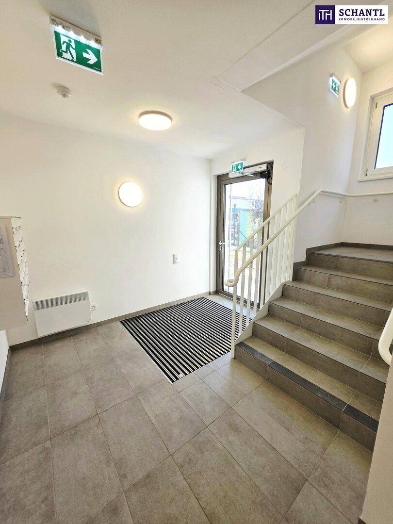 Eingangsbereich mit Fliesenboden, Treppe und Zugang zur Haustür, hell und funktional.