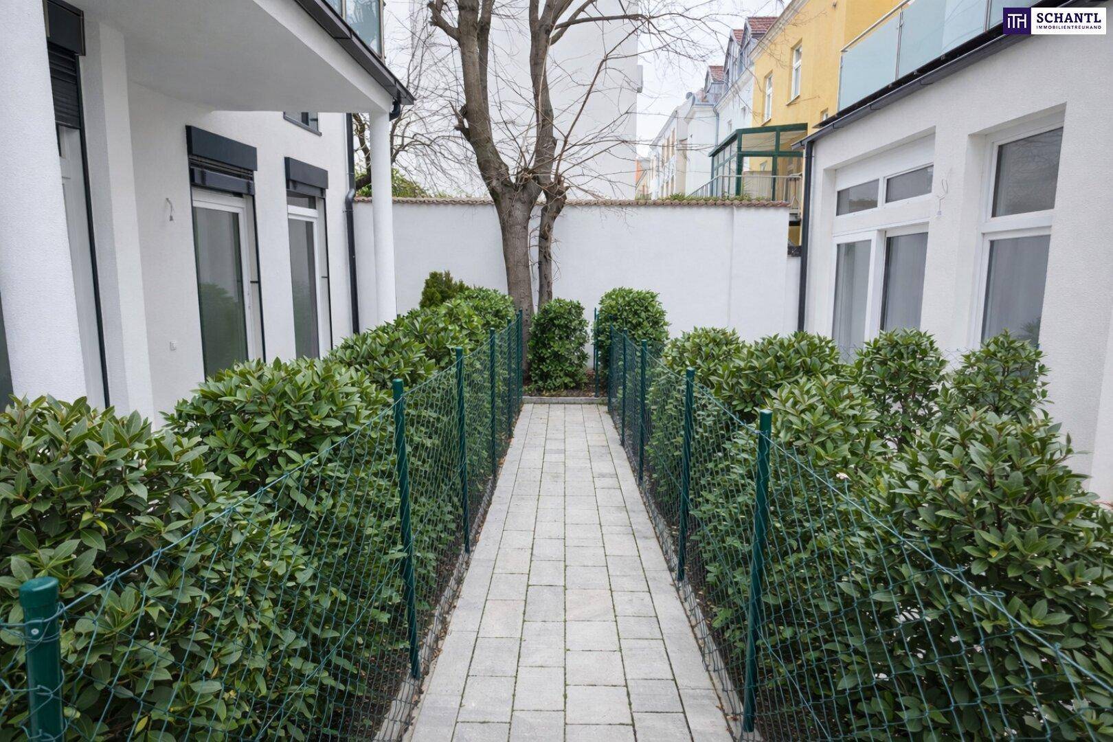 Schmaler gepflasterter Weg zwischen hohen grünen Hecken, der zu einem Hinterhof führt.