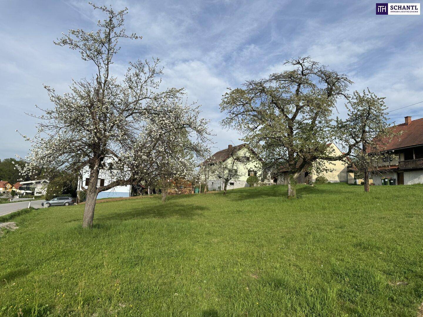 Sonnige Frühlingslandschaft mit blühenden Obstbäumen, grünen Wiesen und traditionellen Häusern.