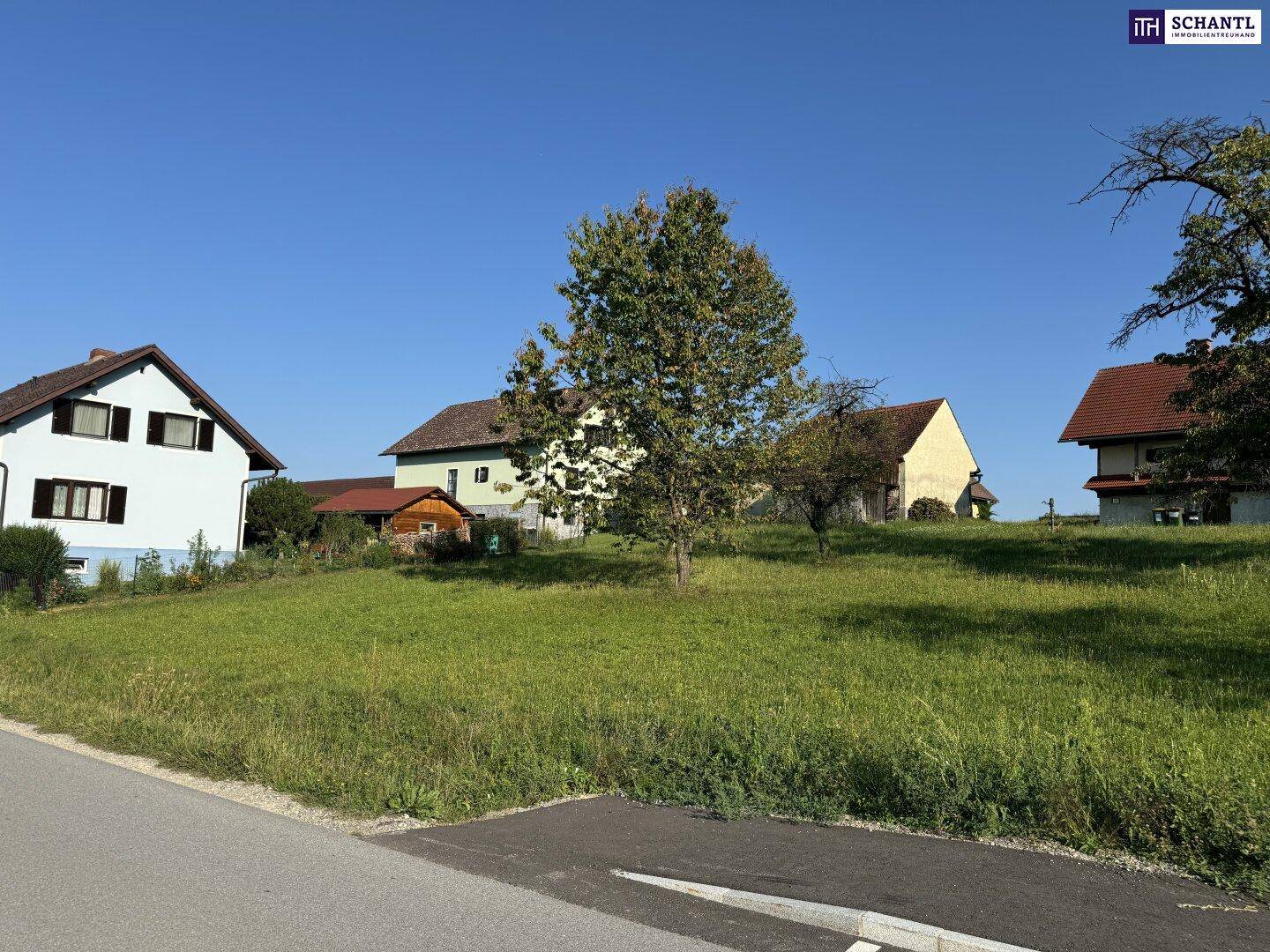 Weitläufige grüne Wiese mit Bäumen und Häusern entlang einer Landstraße an einem sonnigen Tag.