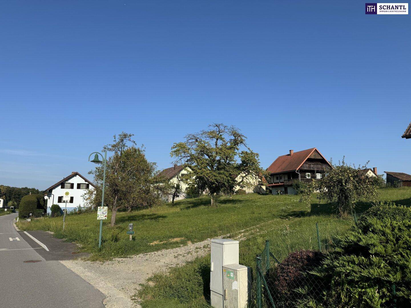 Ländliche Szene mit einer Straße, grünen Wiesen und mehreren Häusern unter blauem Himmel.