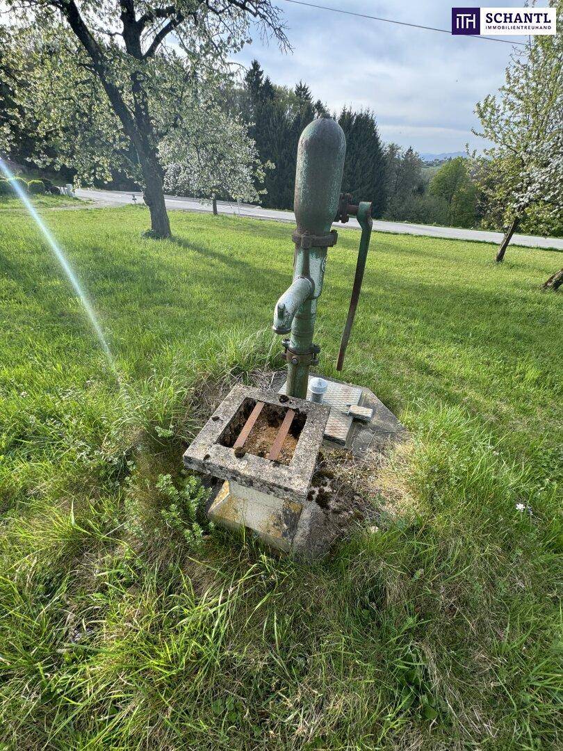 Eine alte, grüne Wasserpumpe steht auf einem Betonsockel in einer grünen Wiese.