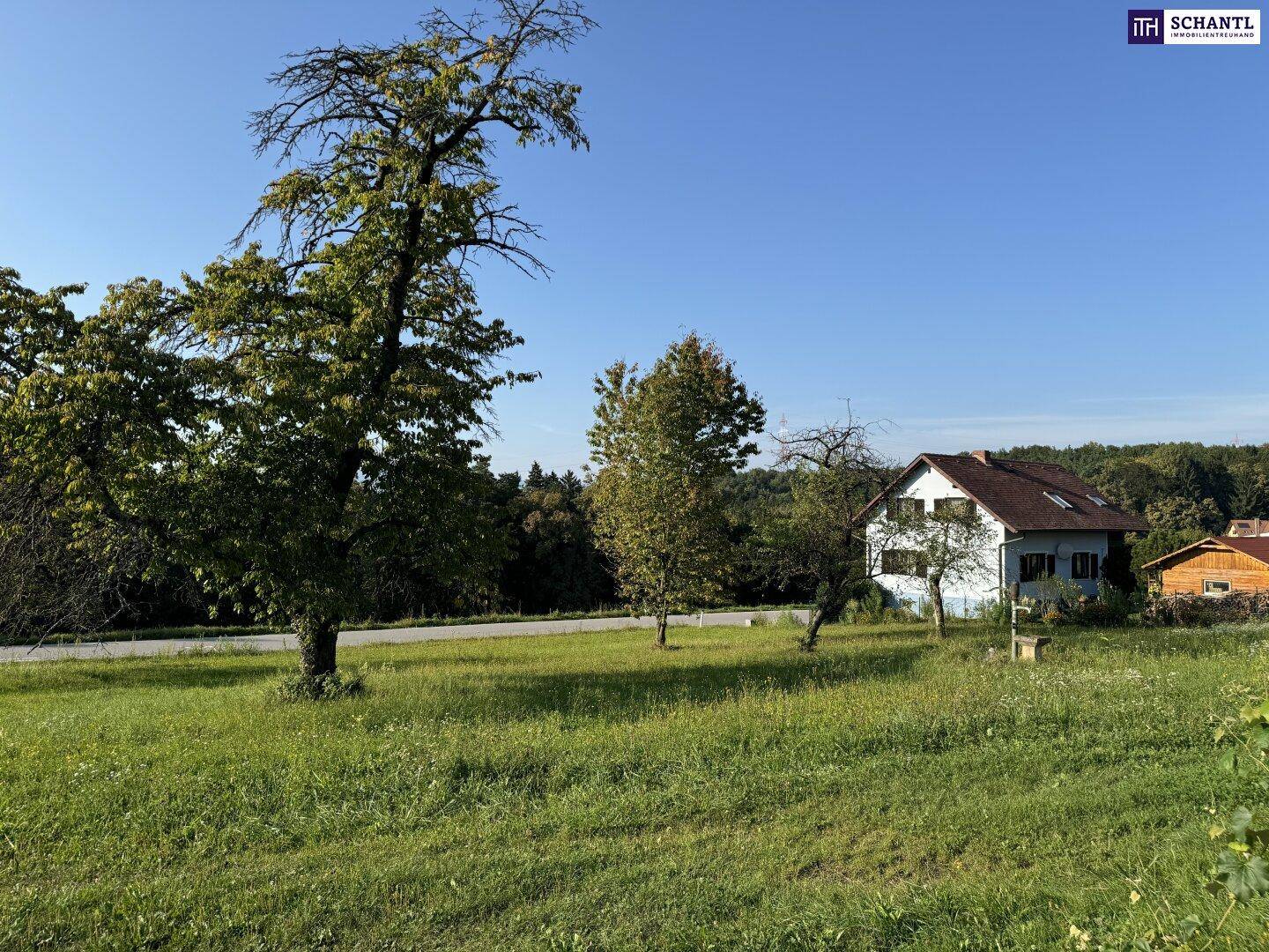 Weitläufige grüne Landschaft mit Bäumen und Häusern in sonniger, ländlicher Umgebung.