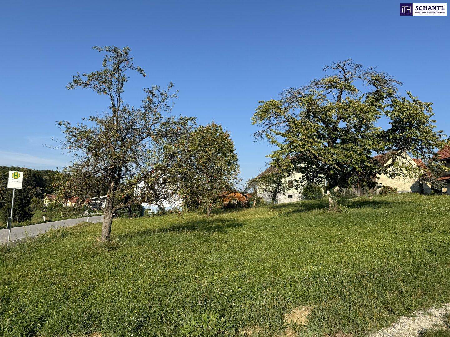 Sonnige Landschaft mit grünen Wiesen, Bäumen und Häusern in einer ruhigen ländlichen Gegend.
