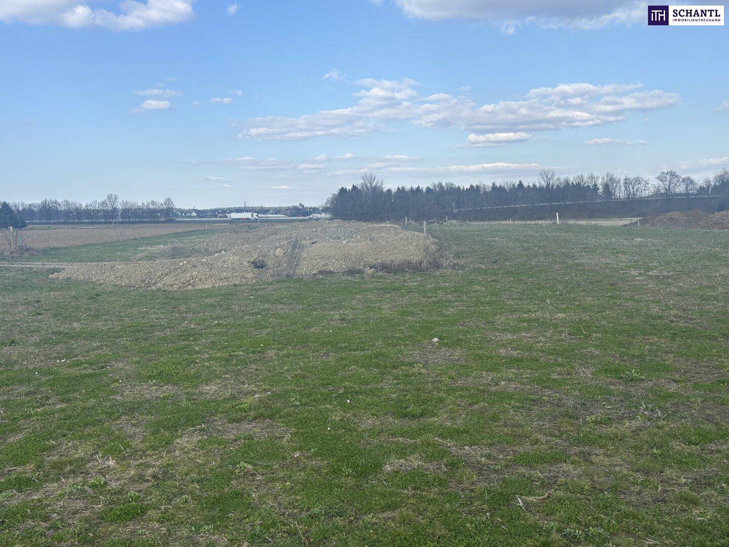 Weitläufiges Grundstück mit Grasflächen und vorbereiteten Bereichen für zukünftige Bebauung unter bewölktem Himmel.