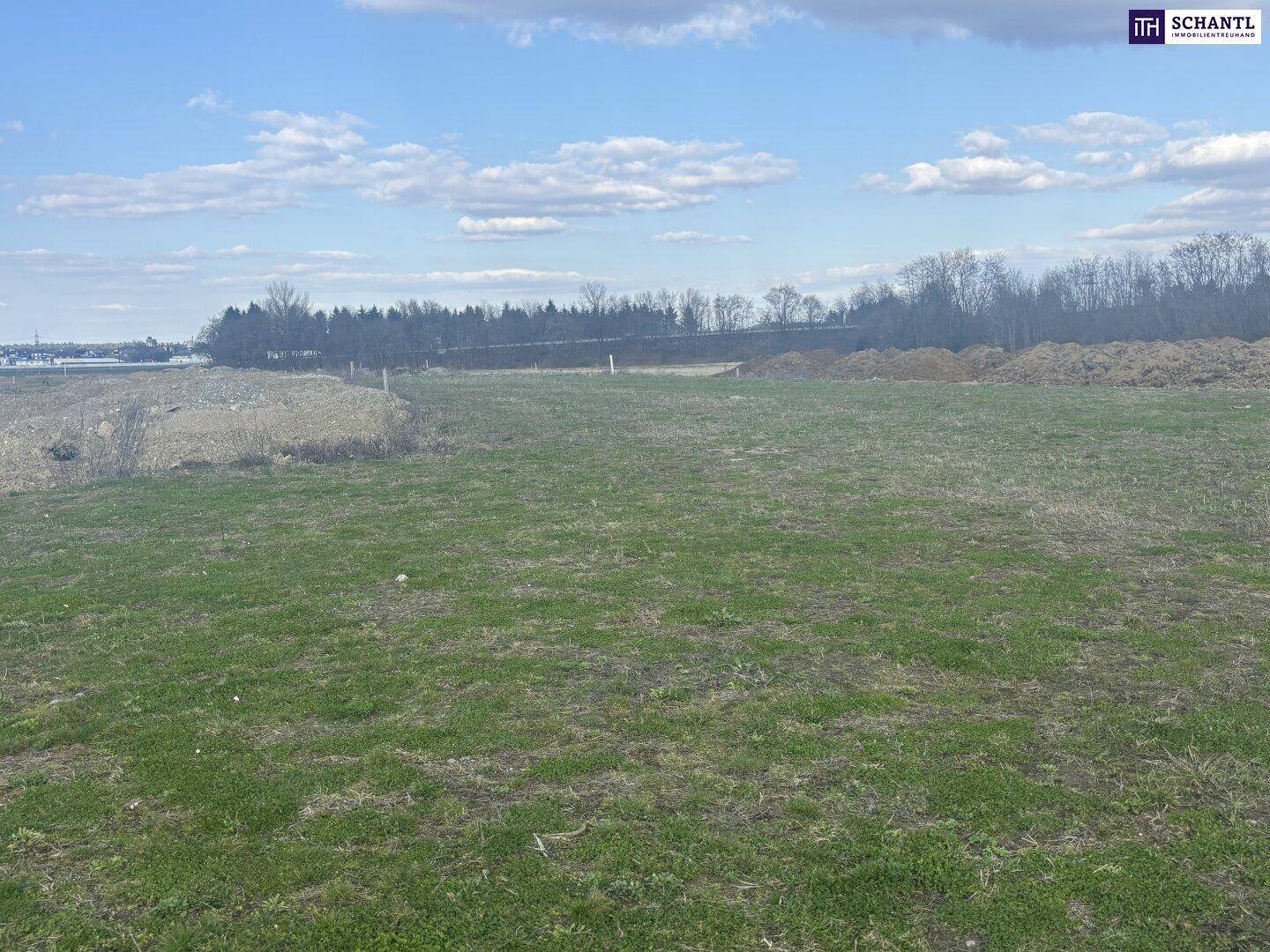 Ausgedehntes Baugrundstück mit grünen Grasflächen und Erdhügeln im Hintergrund unter leicht bewölktem Himmel.