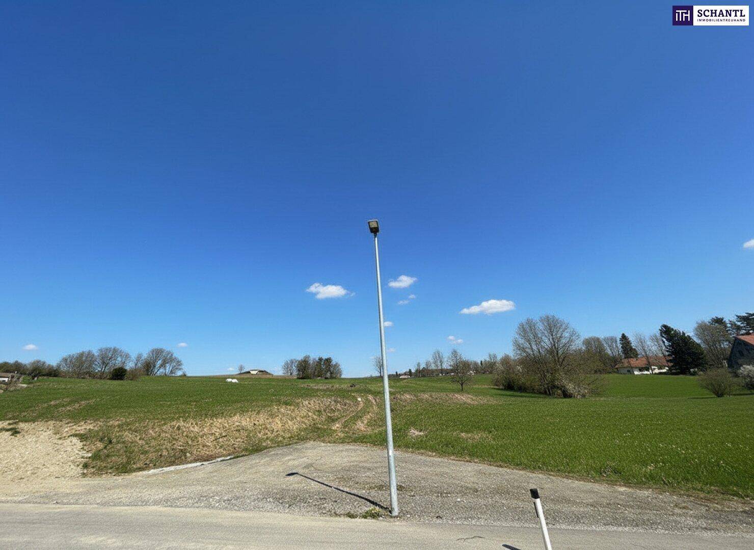 Traumhaftes Baugrundstück in 8062 Rabnitz – sonnige Lage mit herrlichem Ausblick! - Ansicht 6