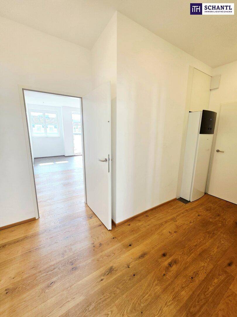 Eingangsbereich mit Holzboden und moderner Heizungsanlage, führt zu weiteren Räumen.
