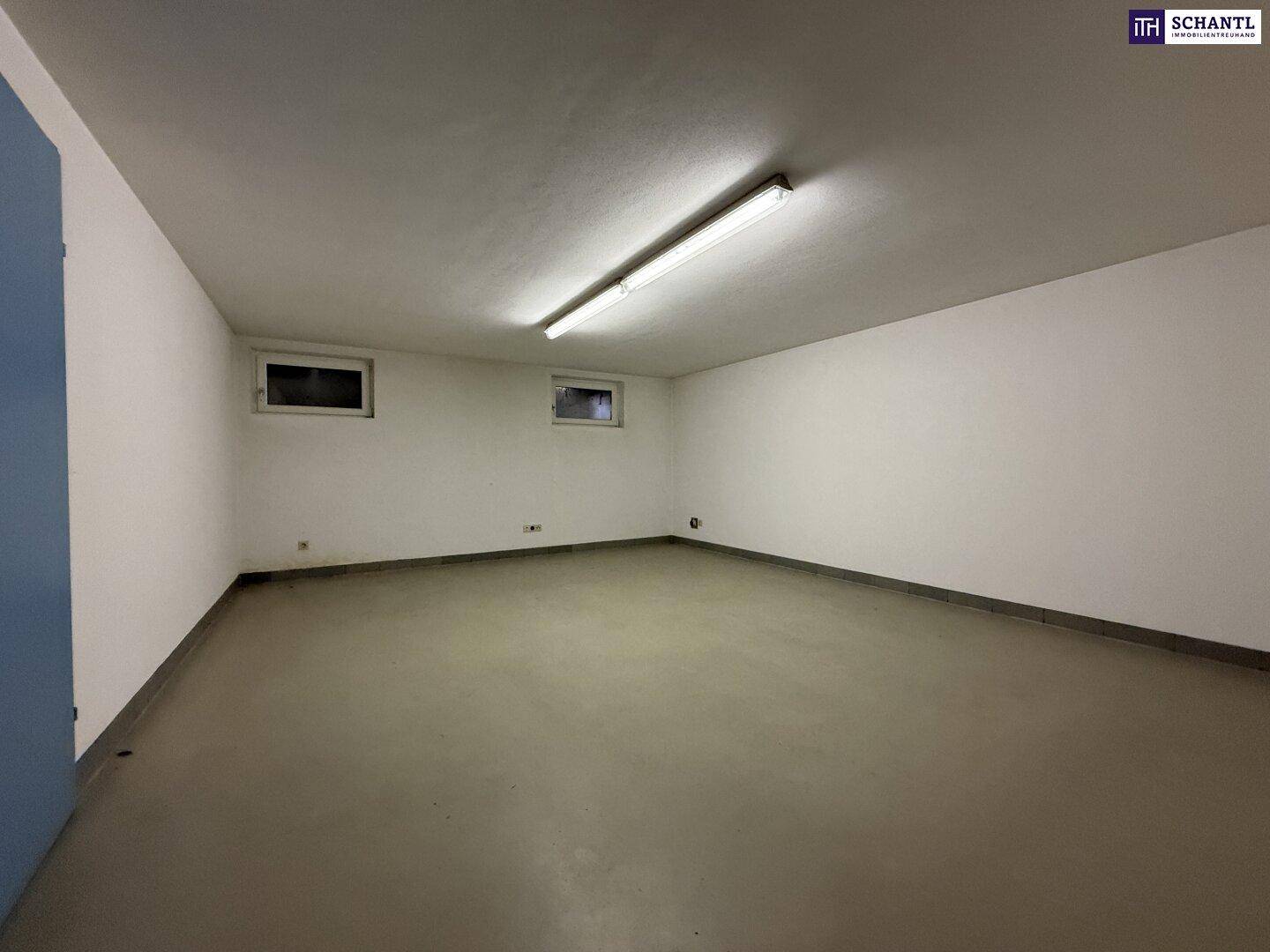 Heller Kellerraum mit zwei Fenstern und glattem Betonboden, vielseitig nutzbar.