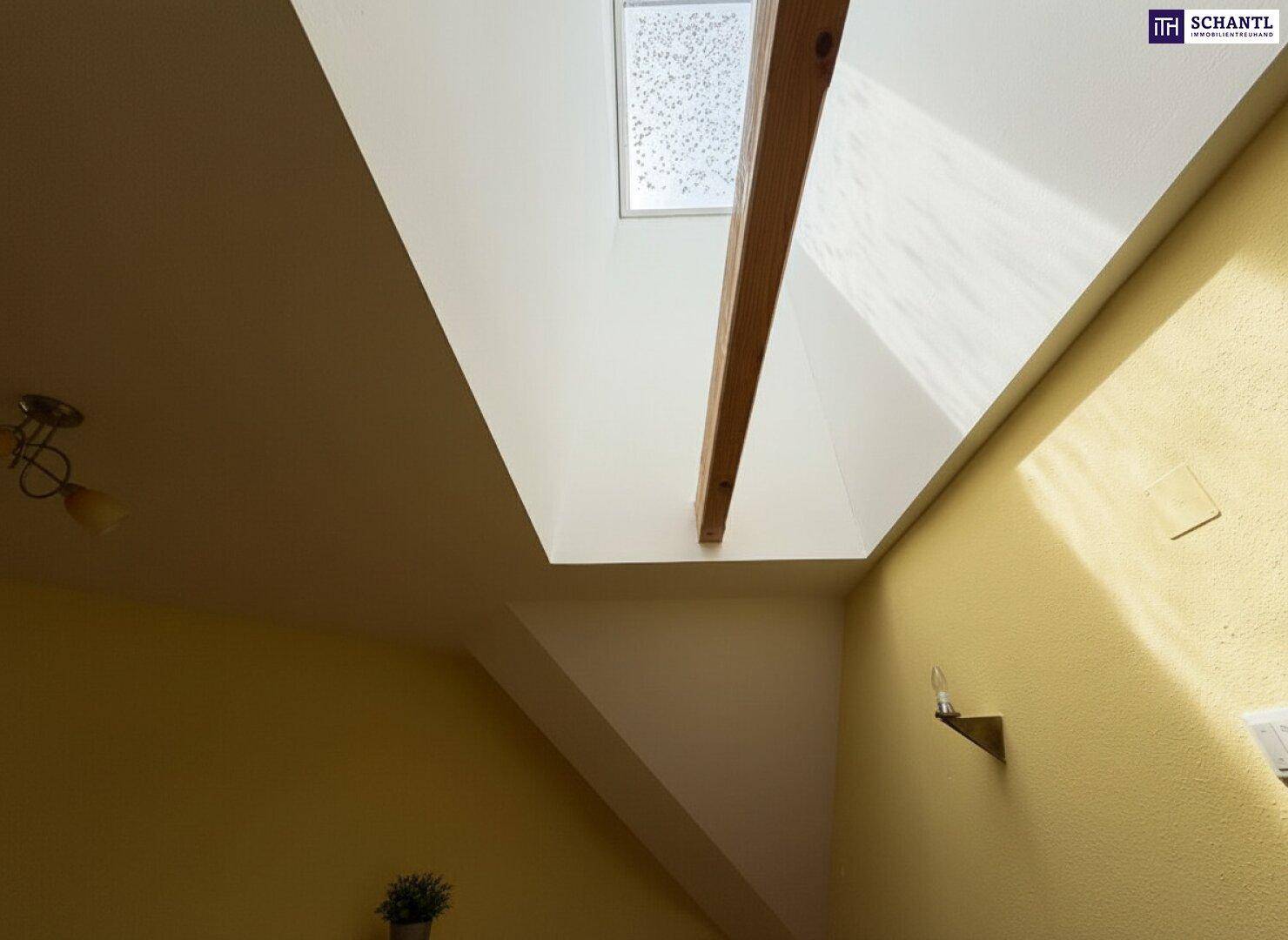 Detailaufnahme eines Dachfensters, das den oberen Bereich des Hauses mit Tageslicht versorgt.