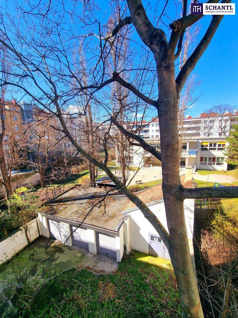 Ausblick auf grüne Bäume und umliegende Gebäude mit Garagen im Hintergrund.