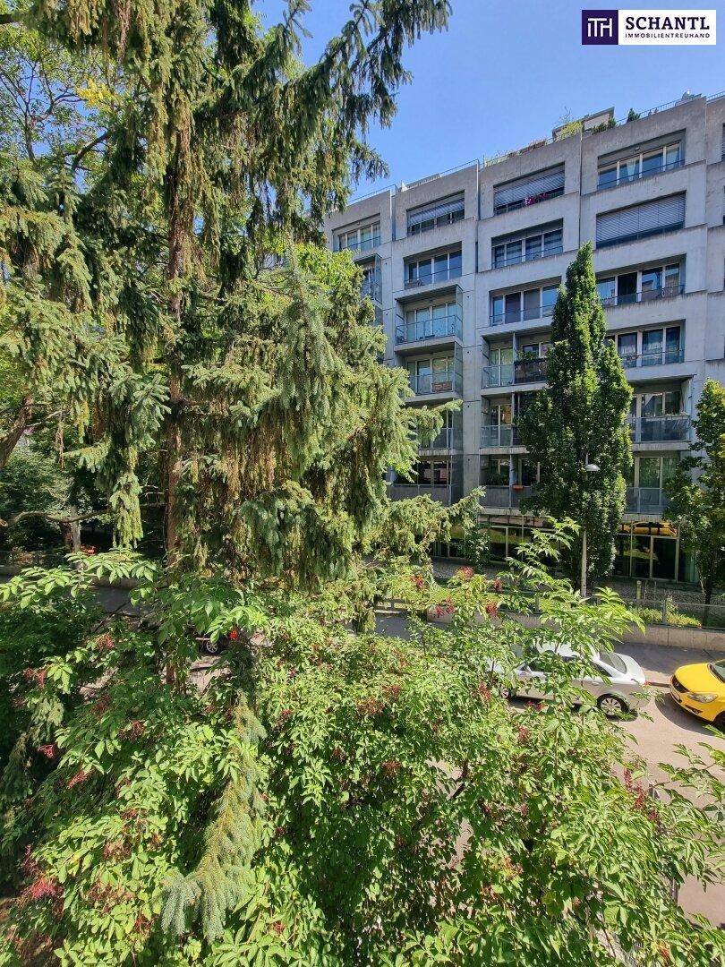 Blick auf ein modernes Gebäude durch üppiges Grün und hohe Bäume, die Schatten spenden.