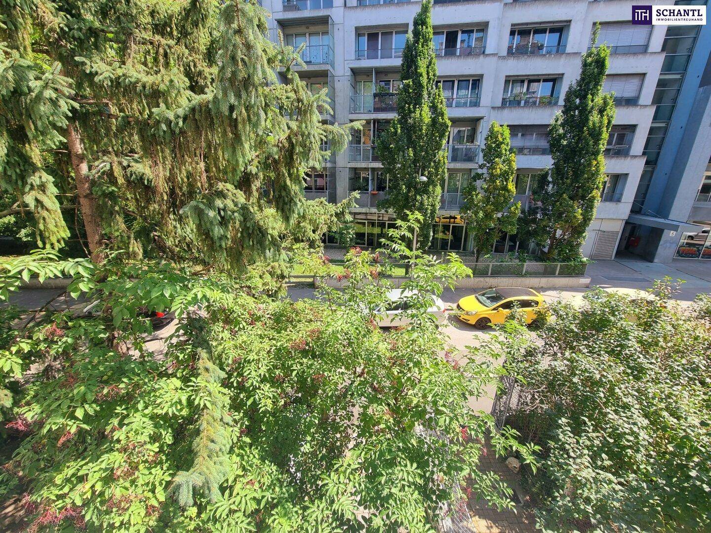Ansicht eines Wohngebäudes umgeben von hohen Bäumen und üppiger Vegetation.