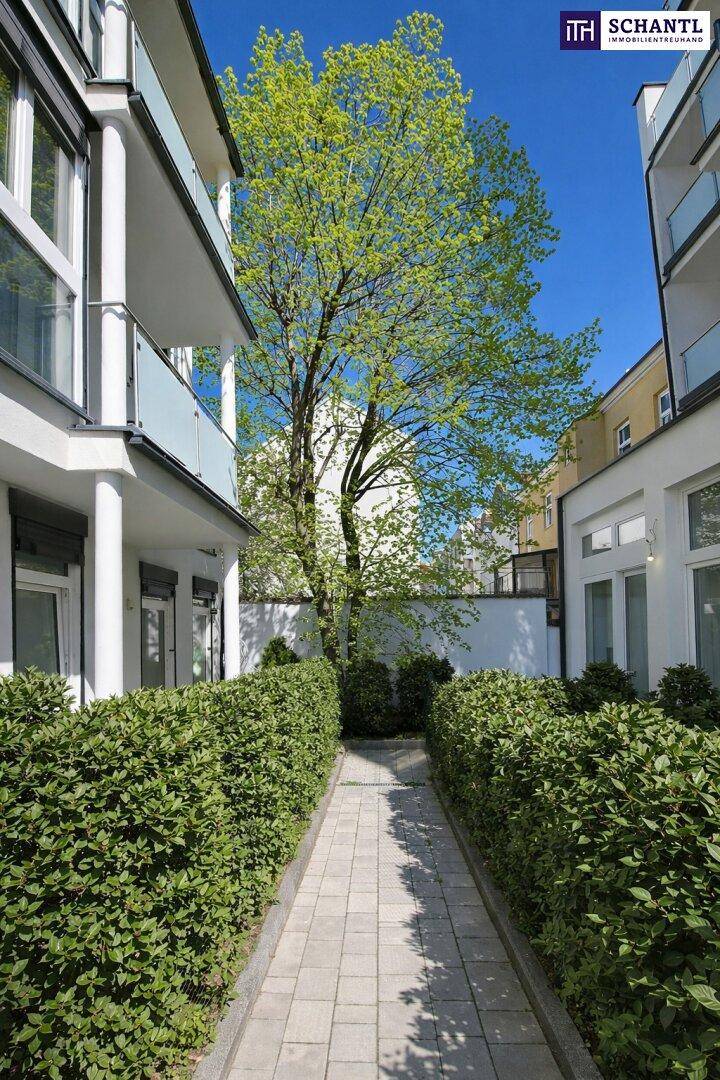 Grüner Weg zwischen modernen Gebäuden mit gepflegten Hecken und einem Baum.