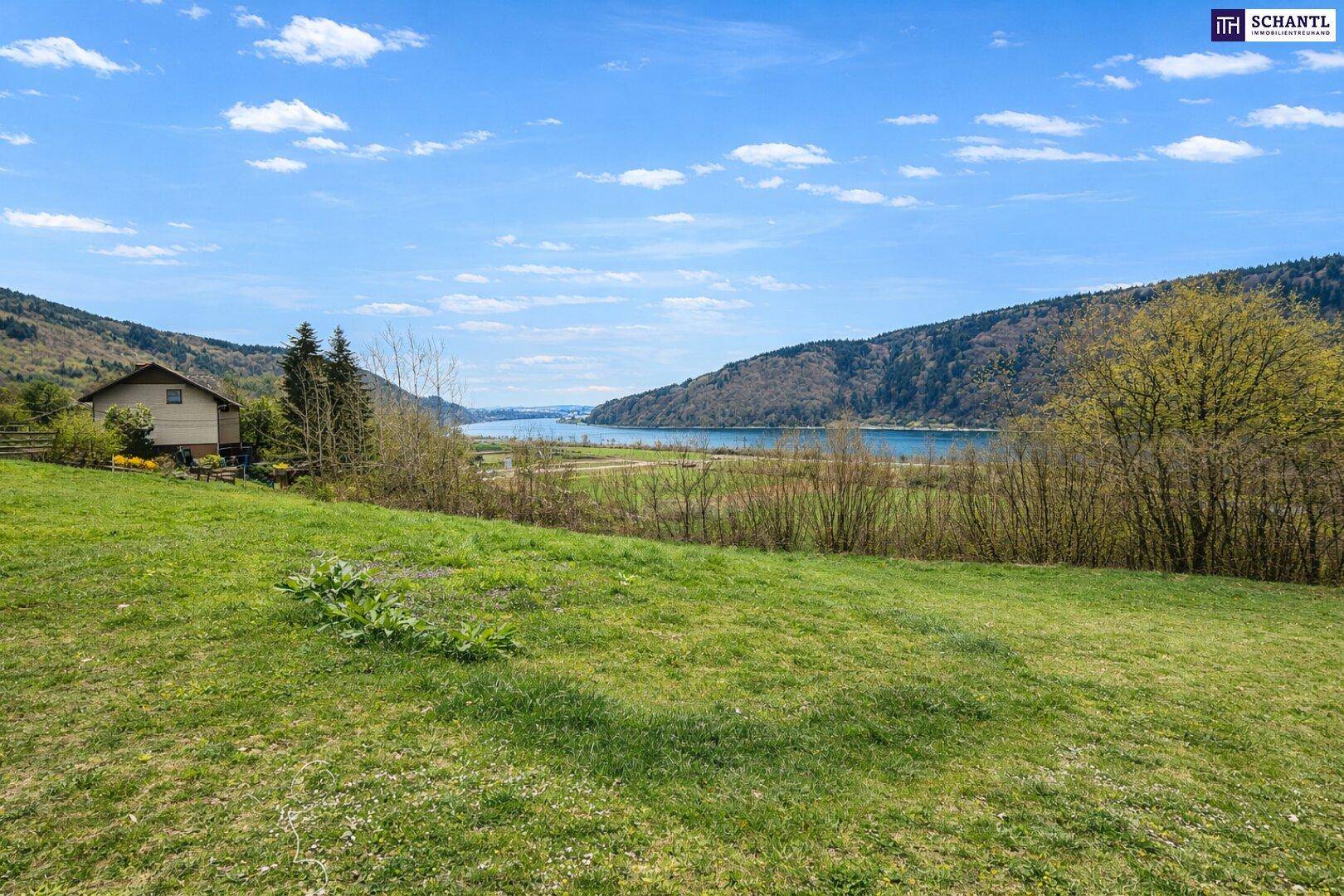 Katzensprung von Ybbs/D. – Mehr Grundstück für wenig Geld! Seltenes Baugrundstück mit genialem Donau-Blick in ruhiger Lage: 2.168 m² für großzügiges Eigenheim, Mehrgenerationenwohnen oder Wohnen &amp; Arbeiten auf einem Grundstück! - Ansicht 3