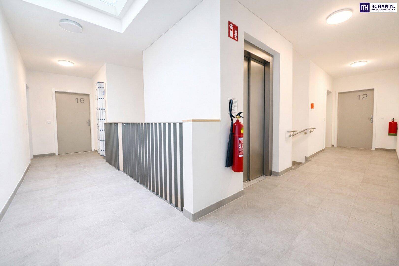Heller Flur mit Aufzug, Handläufen und Zugang zu den Wohneinheiten.