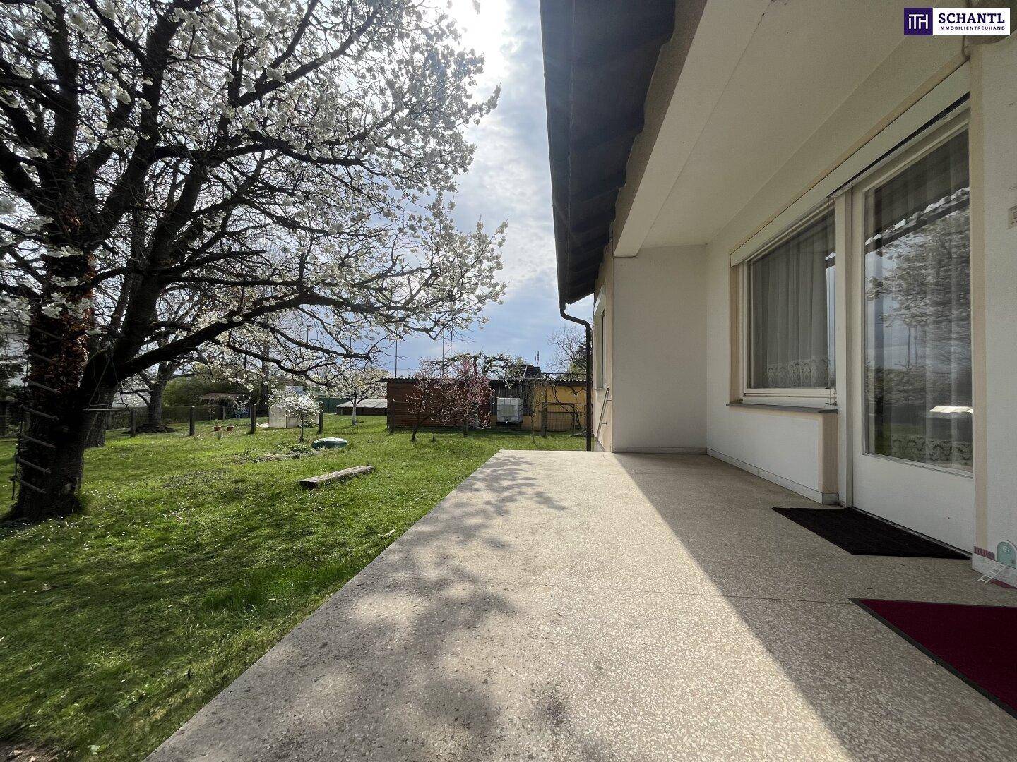 Überdachte Terrasse mit Blick in den Garten und blühenden Bäumen.