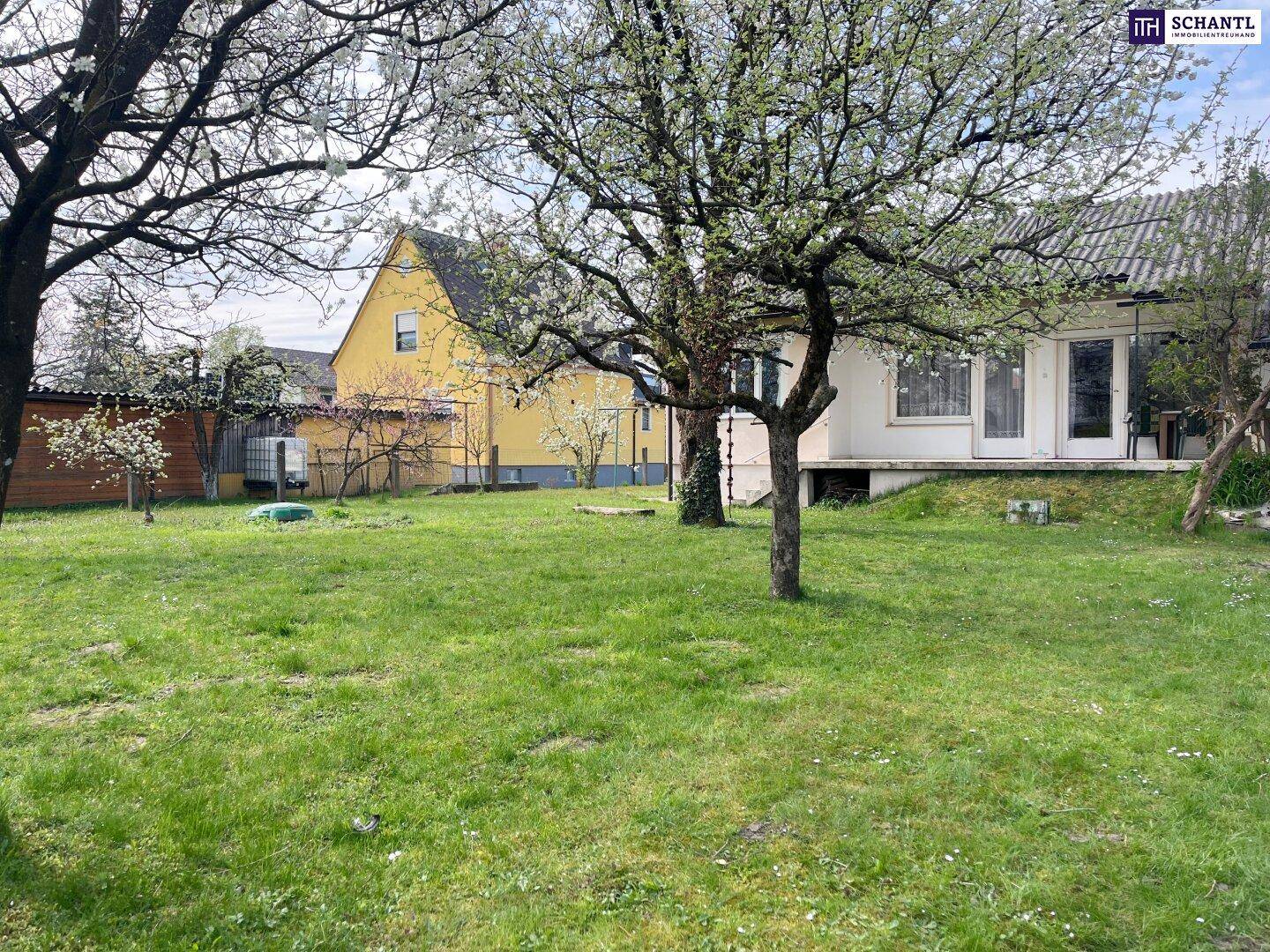 Grüner Gartenbereich mit Bäumen und dem Haus im Hintergrund.