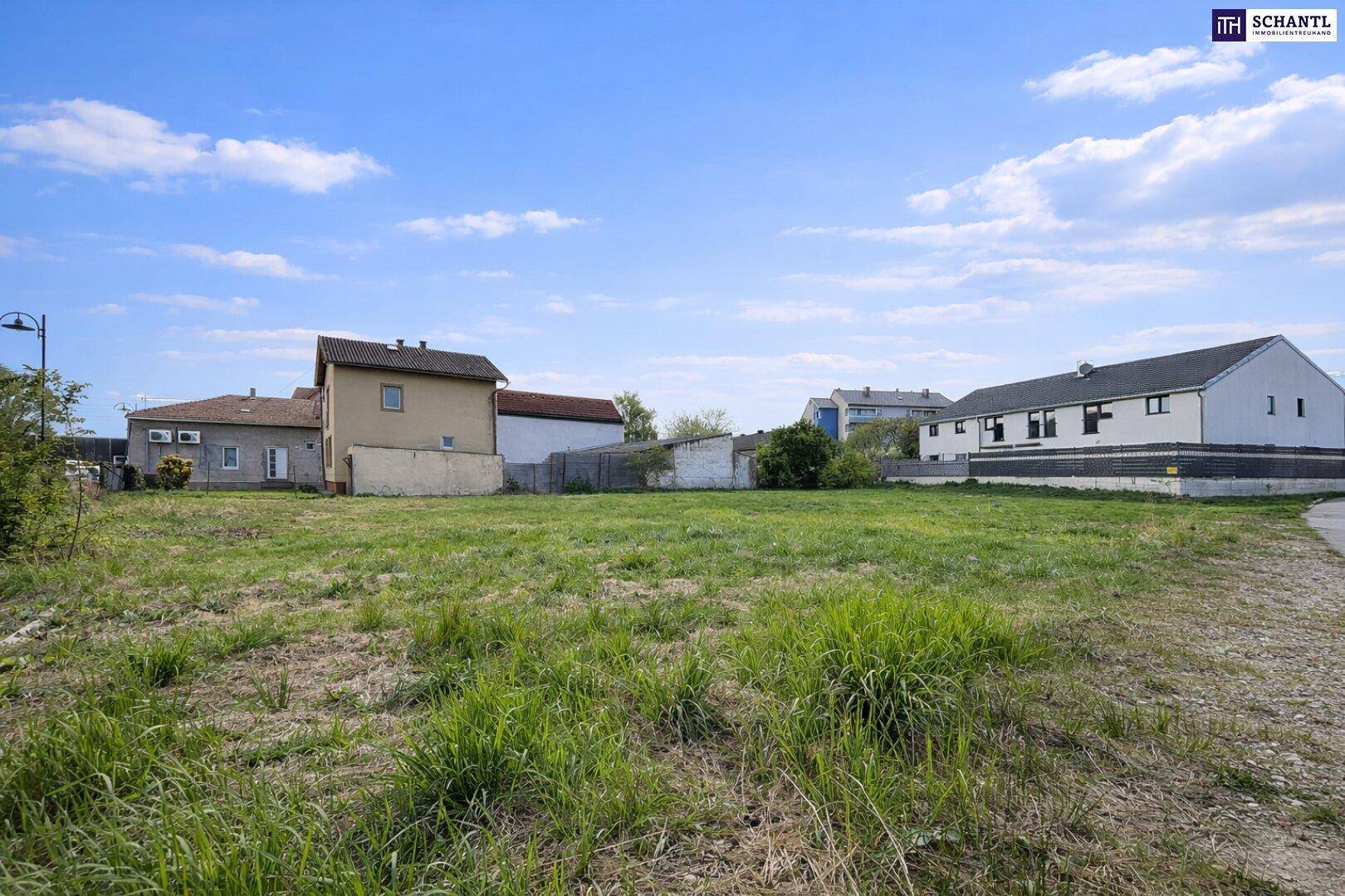 Offenes, grünes Baugrundstück mit Blick auf benachbarte Wohnhäuser und den blauen Himmel.