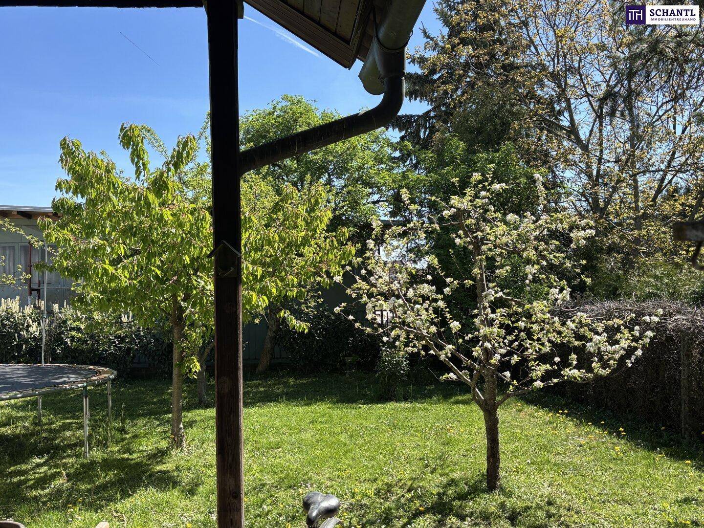 Grüner Garten mit blühenden Bäumen und Rasenfläche unter blauem Himmel.