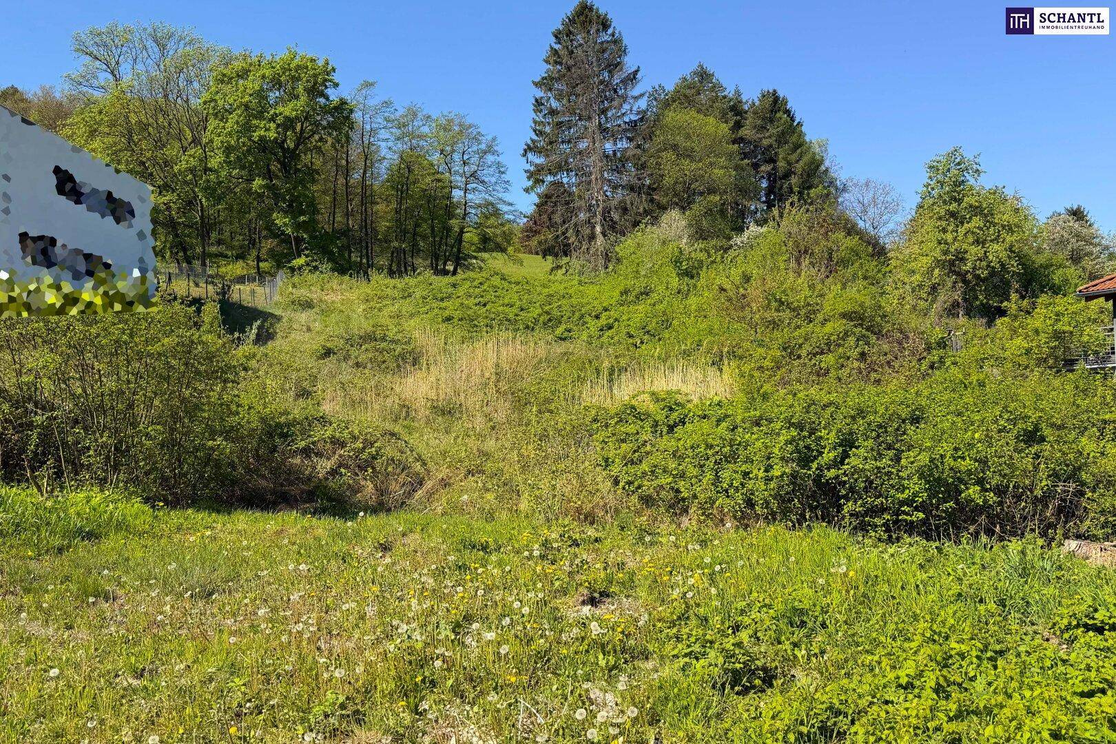 Sonnige Liegenschaft mit Entwicklungspotenzial in Klosterneuburg - Ansicht 3