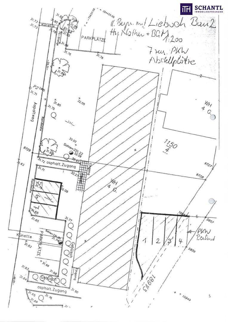 Lageplan eines Grundstücks mit eingezeichneten Parkplätzen und Zufahrtswegen.