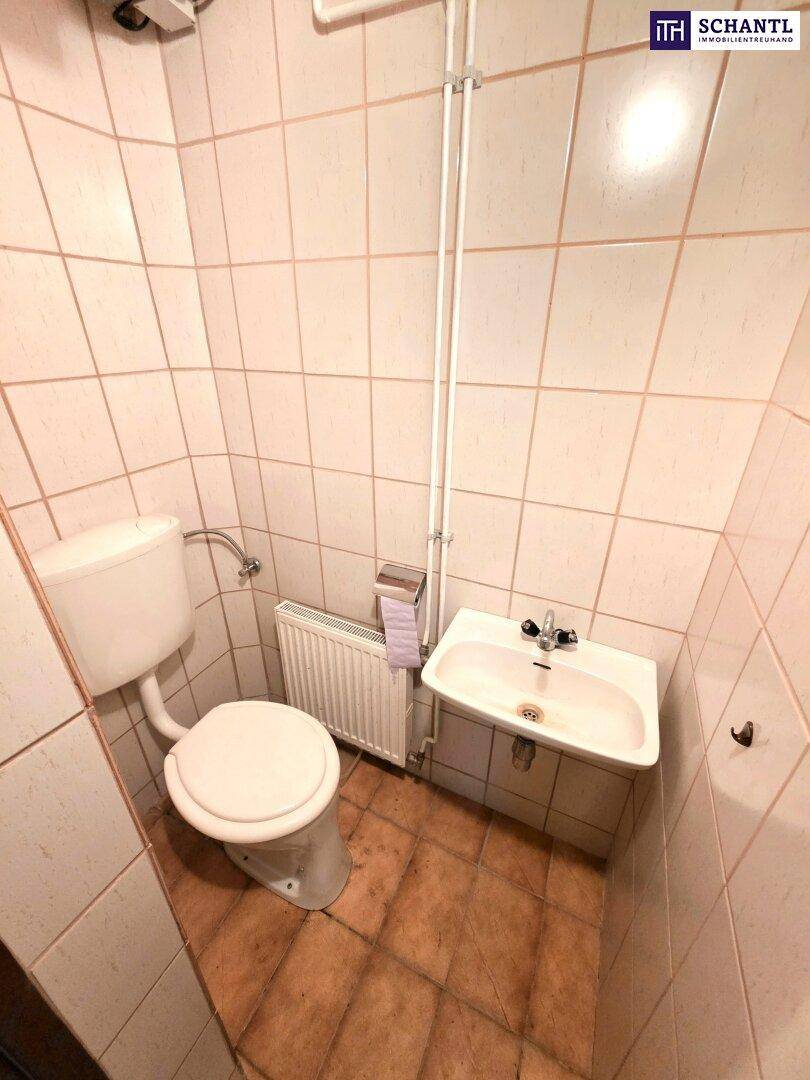 Kleines Gäste-WC mit hellen Fliesen, Toilette und einem einzelnen Waschbecken.