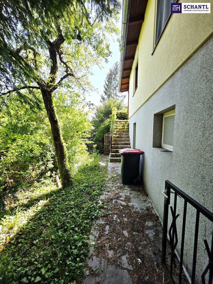 Seitenansicht des Hauses mit Treppe zum oberen Bereich und üppiger Vegetation.