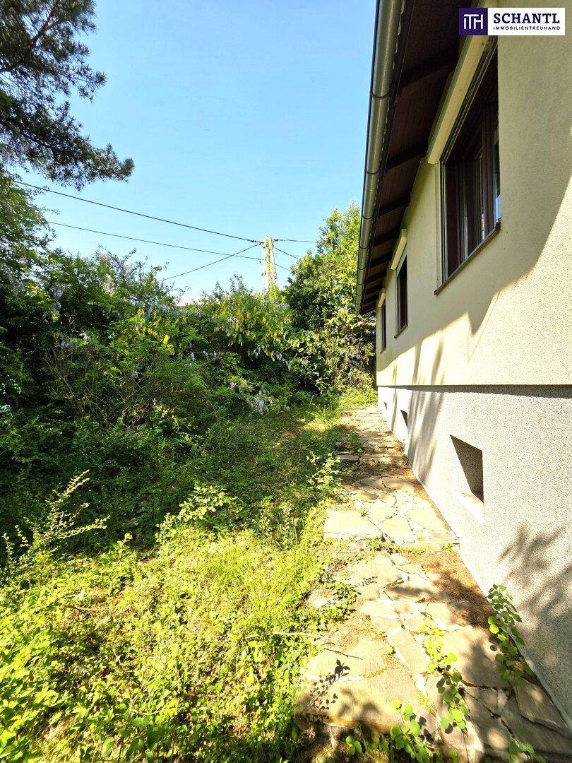 Seitenansicht des Hauses mit üppiger Vegetation und einem schmalen Pfad.