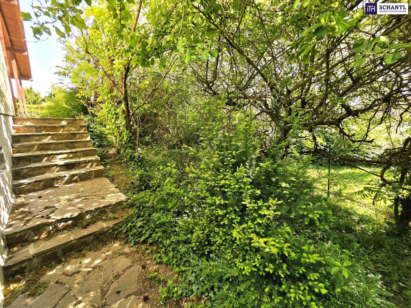 Üppiger Gartenbereich mit alten Bäumen und einer Steintreppe, die zum Haus führt.
