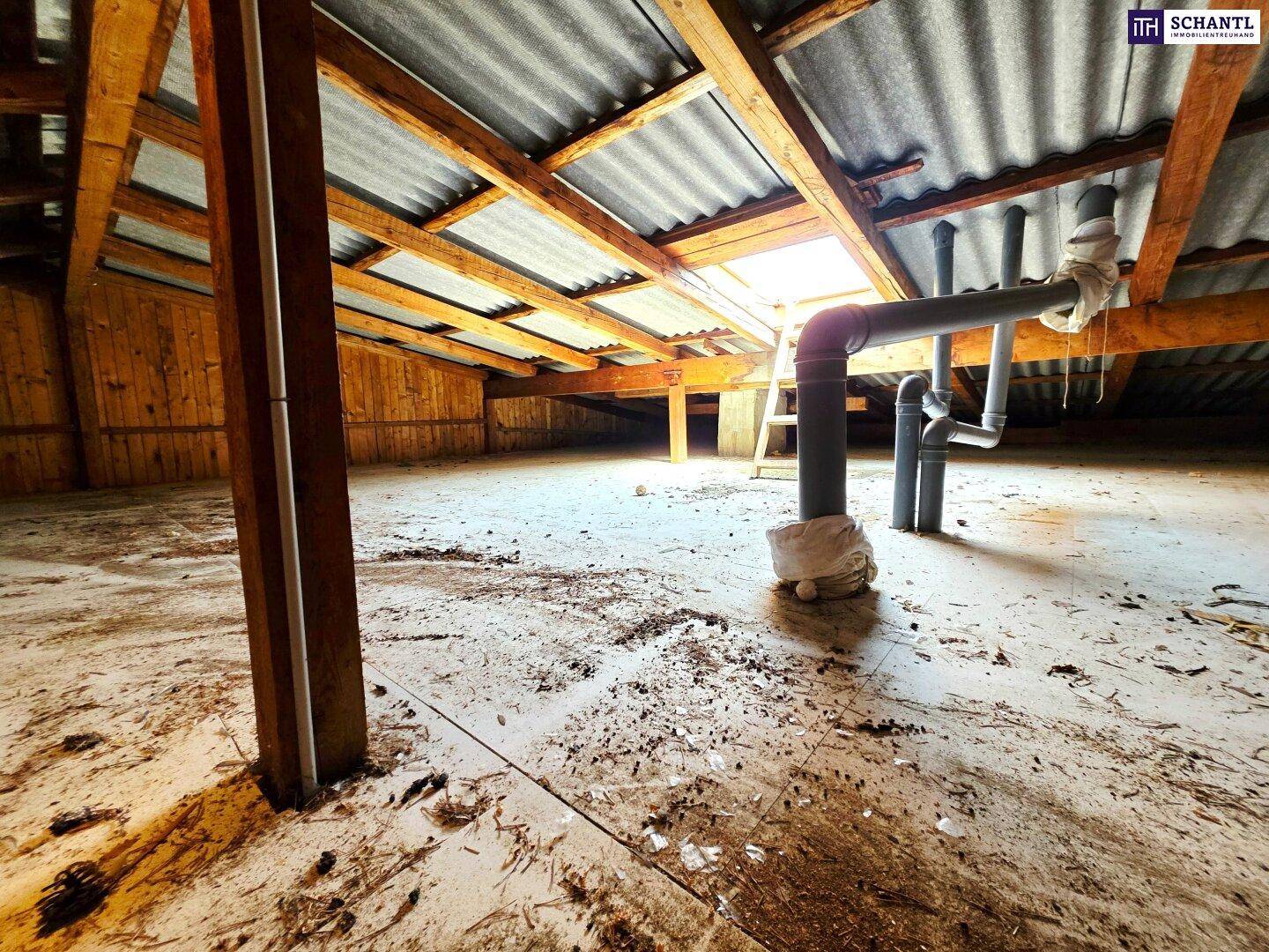 Unausgebauter Dachboden mit sichtbaren Holzbalken, Wellblechdach und einem Dachfenster.