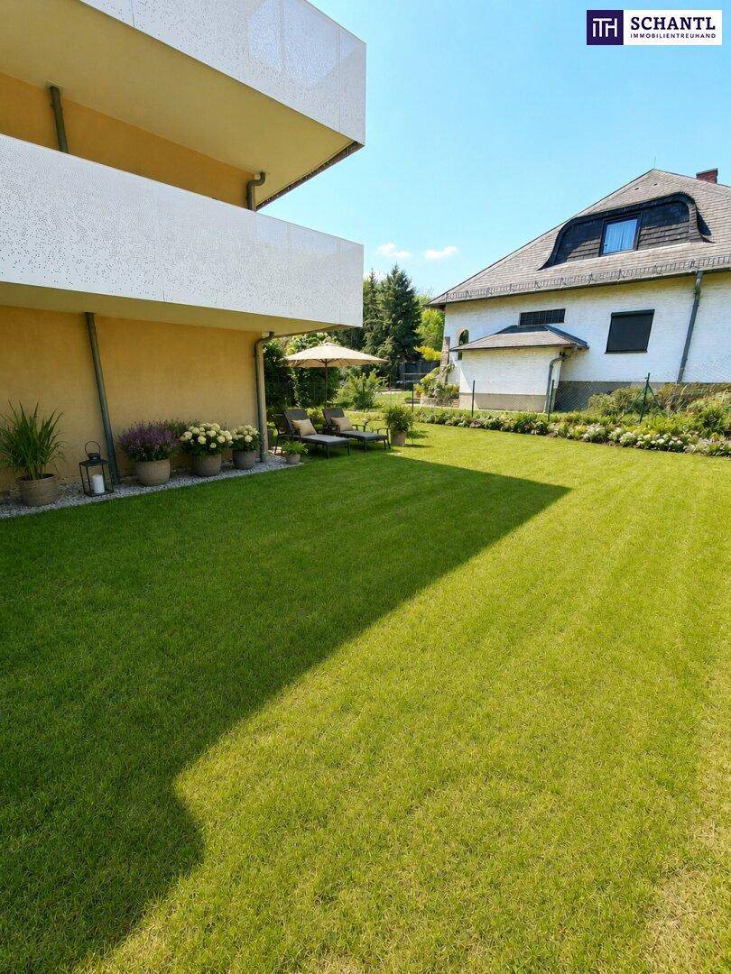 Sonniger Gartenbereich mit gepflegtem Rasen und Blick auf die Nachbarschaft.