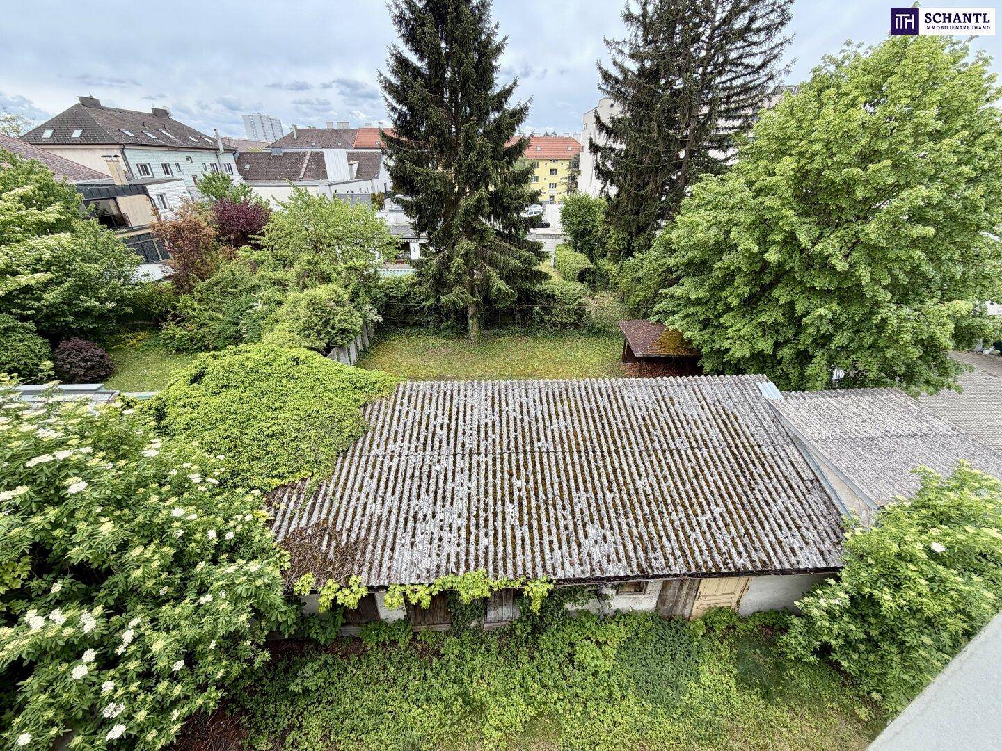 Blick von oben auf einen verwilderten Gartenbereich mit einem alten Schuppen und viel Grün.