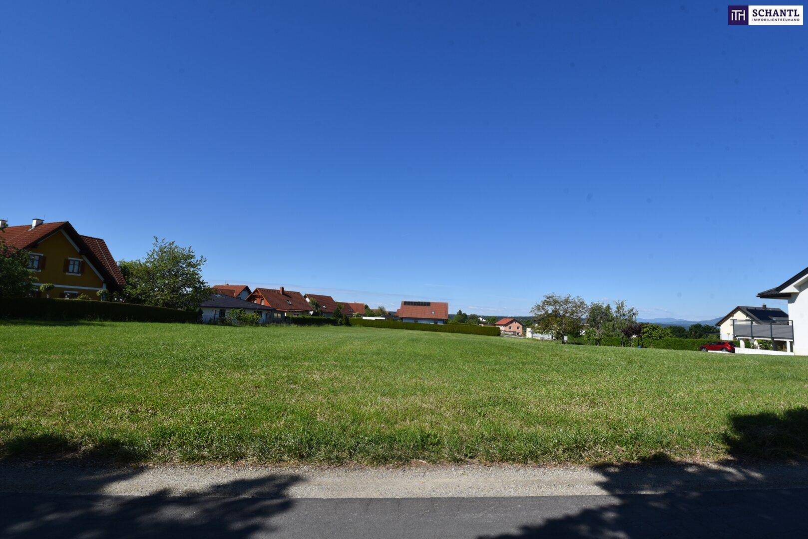 Großes Wiesengrundstück mit angrenzender Straße und Wohnhäusern im Hintergrund unter strahlendem Himmel.
