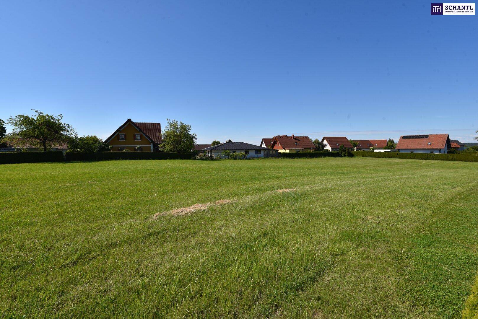 Weitläufige grüne Wiese, umgeben von verschiedenen Wohnhäusern unter klarem, blauem Himmel.