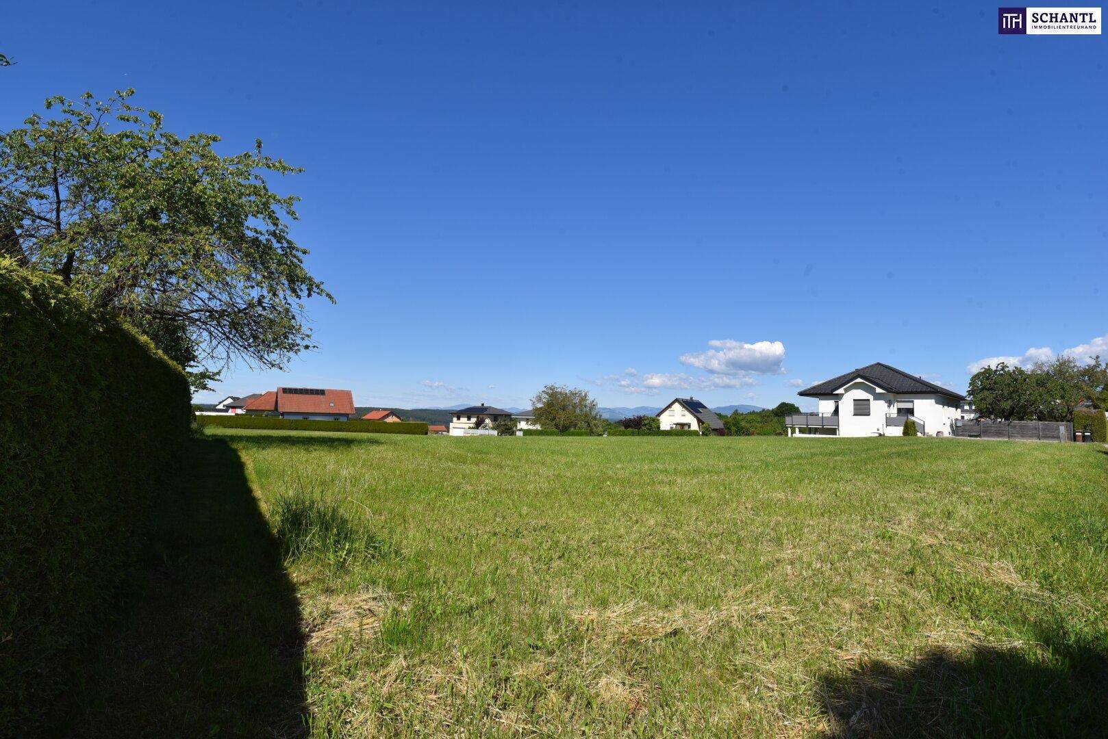 Großes Wiesengrundstück mit Hecken am Rand und Blick auf Wohnhäuser sowie eine ferne Hügellandschaft.