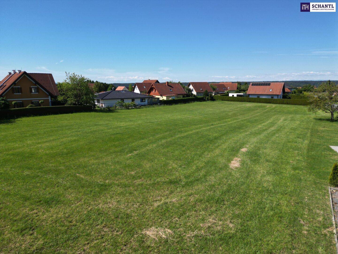 Weitläufige grüne Wiese, umgeben von verschiedenen Wohnhäusern unter klarem, blauem Himmel.