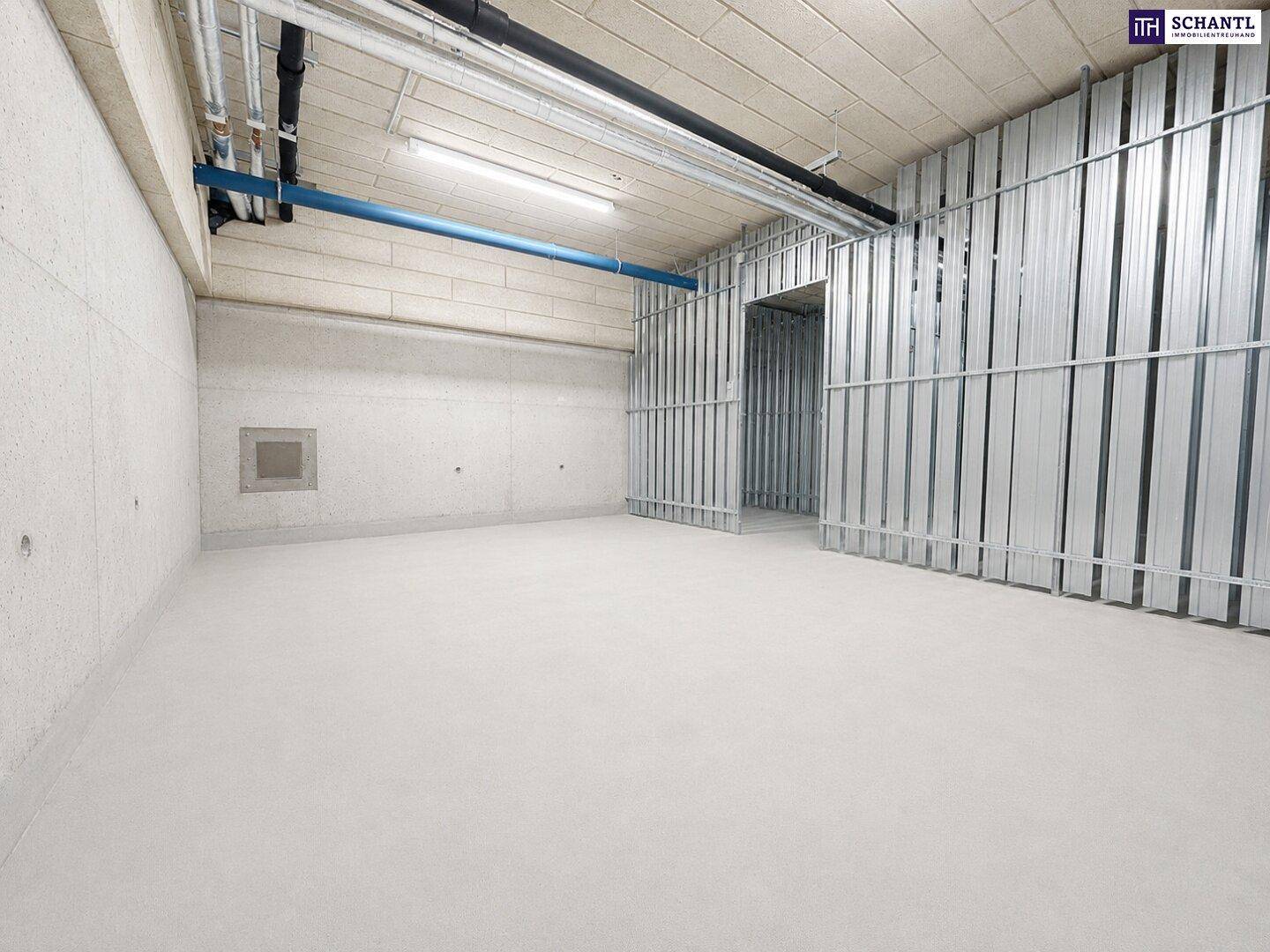 Leerer Lagerraum im Untergeschoss mit Betonwänden, freiliegenden Rohren und Metallabtrennungen.